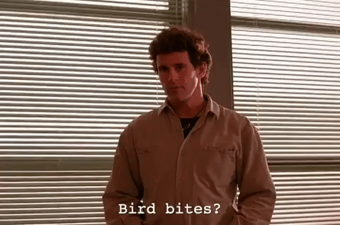 season 1 GIF by Twin Peaks on Showtime