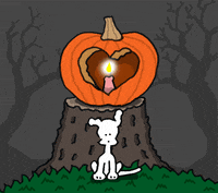 I Love You Halloween GIF by Chippy the Dog
