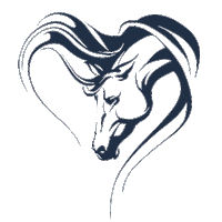 Horses Horseriding Sticker by Horse Store Prive