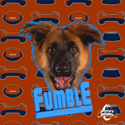 Football Dog GIF by Puppy Bowl