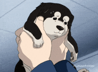 fullmetal alchemist dogs GIF by Funimation