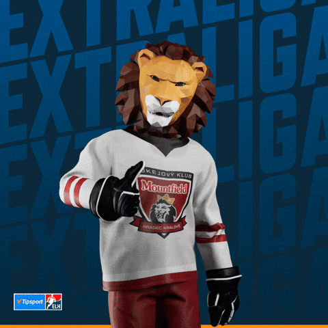Hockey Hokej GIF by Tipsport extraliga