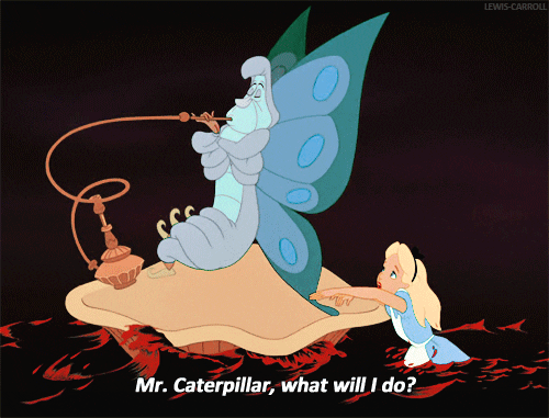 alice in wonderland wow GIF