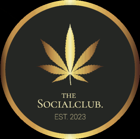 thesocialclubde giphyupload GIF