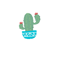 tassiarocha planta cacto persista nuvemcria Sticker
