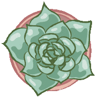 plant cactus Sticker by dasherzallerliebste