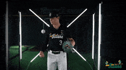 Tulane Rollwave GIF by GreenWave