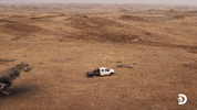 T-Rex Dinosaur GIF by Discovery