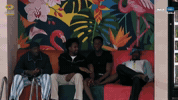 Bbnaija GIF by Big Brother Naija