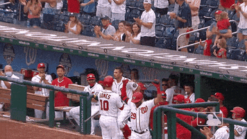 Regular Season Sport GIF by MLB