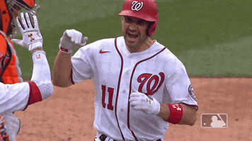 Regular Season Sport GIF by MLB