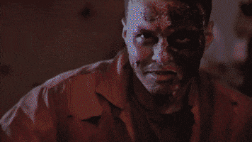 blackplaguebrewing craft beer beer cans beer pour black plague GIF