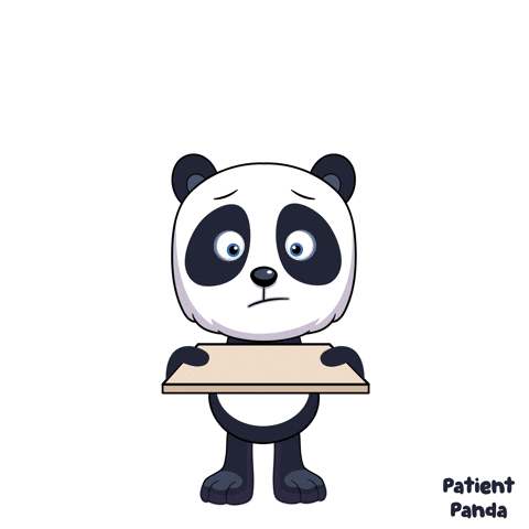 Sad Panda GIF by VeeFriends