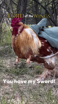 hobbithobbyist lotr aragorn you have my sword lord of the wings GIF