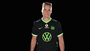 E Sports Sport GIF by VfL Wolfsburg