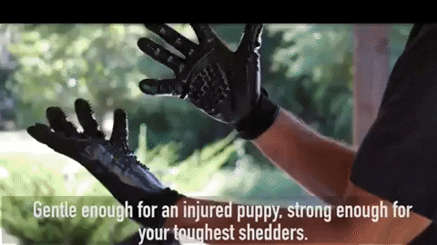 starlightproductsllc giphygifmaker GIF