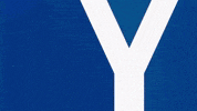 Soccer Goal GIF by Karlsruher SC