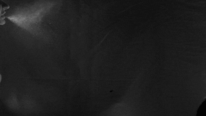 scifri sneezing GIF by Science Friday