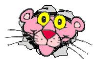 panther STICKER