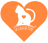 Cat Kitten Sticker by universoanimalmx