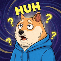 Shiba Inu What GIF by Doge Pound