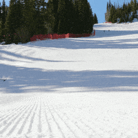 Paralympic Games GIF by Team USA