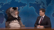 Charli Xcx Snl GIF by Saturday Night Live
