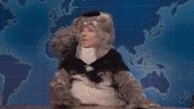 Charli Xcx Snl GIF by Saturday Night Live