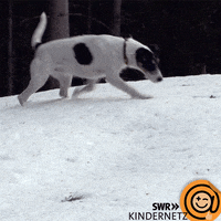 Happy Tiere Bis Unters Dach GIF by SWR Kindernetz