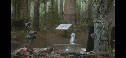 GIF by NC Museum of Natural Sciences