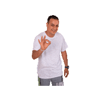 Italian Ok Sticker by Vico Food Box