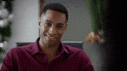 Christmas Time GIF by Hallmark Mystery