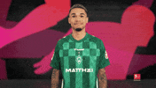 Lets Go Werder GIF by Bundesliga