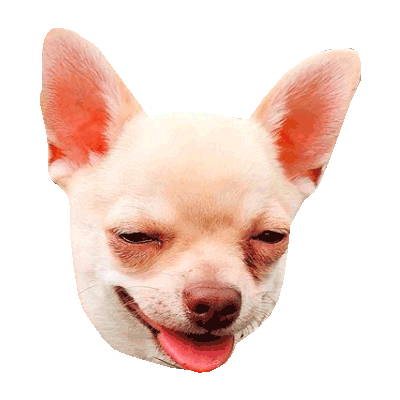Troll Chihuahua Sticker