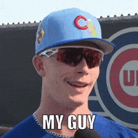 Chicago Cubs Baseball GIF