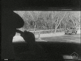 open knowledge film GIF by Okkult Motion Pictures