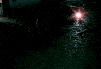 Film Night GIF