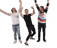 Happy Giel De Winter Sticker by StukTV