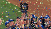 usa team GIF by MLB