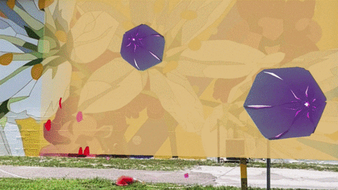 rayroa giphyupload GIF