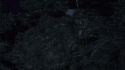 music video horror GIF by Ice Nine Kills