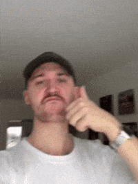 Silvester GIF