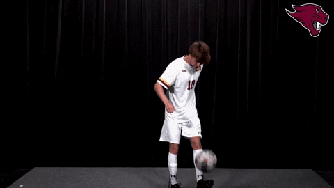 College Sports Sport GIF by CUCougars