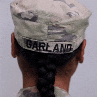 Serious Army GIF