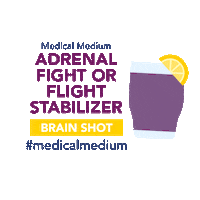 Fight Or Flight Sticker by Medical Medium