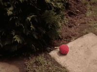nickrewind nicksplat are you afraid of the dark the tale of laughing in the dark GIF