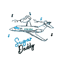 Sugar Daddy Aviao Sticker by Meu Patrocinio