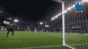 City Sheffieldunited GIF by MolaTV