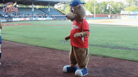 EvansvilleOtters giphyupload happy fun dancing GIF