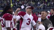 Arizona Cardinals Football GIF by NFL